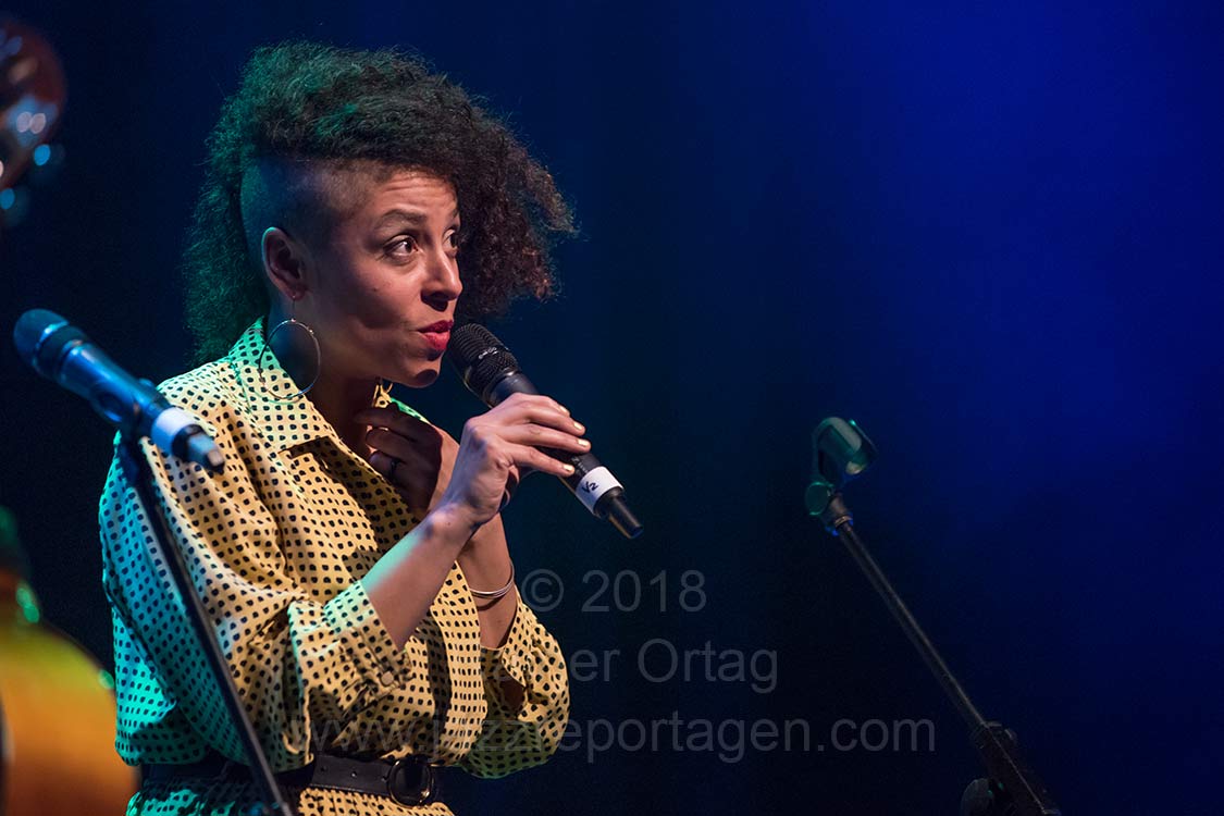 31.Internationale Theaterhaus Jazztage: kartmann-kollektiv: Sylva (Wald)